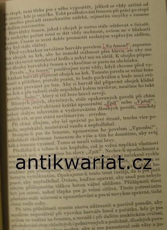1wa Image00073