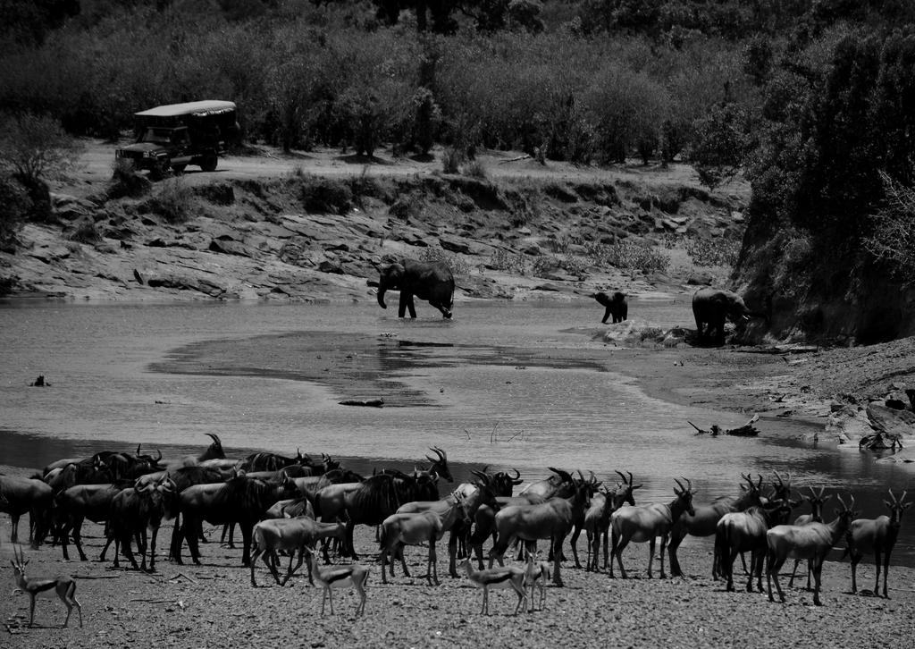 Mis días de safari en Uganda, Kenia y Zanzíbar.. Os lo intento contar - Blogs de Africa Este y Centro - Nuestra pequeña versión del cruce (1)