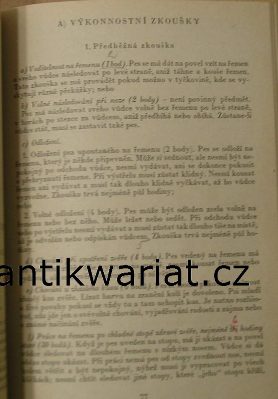 1wa Image00069