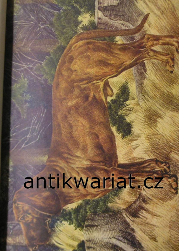 1wa Image00077