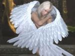 Avatar użytkownika