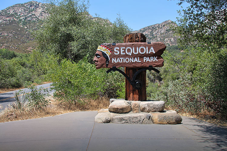 18 días por la Costa Oeste de Estados Unidos: un sueño hecho realidad - Blogs de USA - DIA 5: Los Angeles - Sequoia & Kings Canyon - Fresno (4)