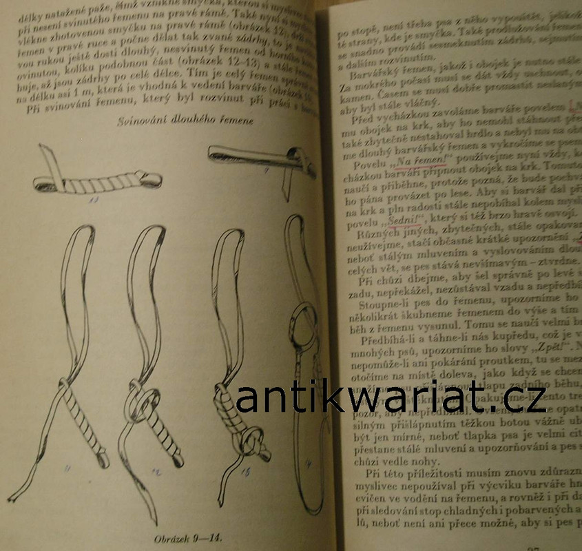 1wa Image00072