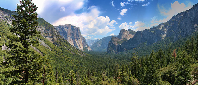 18 días por la Costa Oeste de Estados Unidos: un sueño hecho realidad - Blogs de USA - DIA 6: Fresno – Yosemite – Bishop (3)