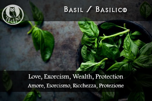 basilico_II