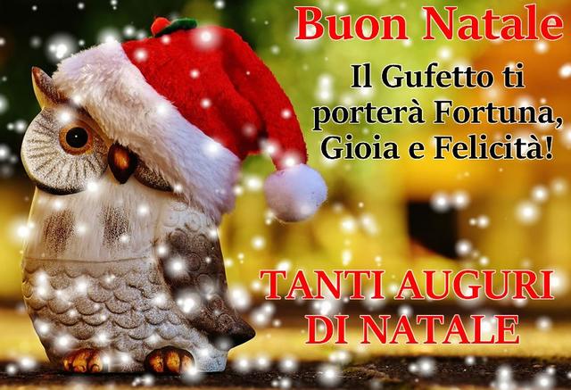 Spiritose Aspettando Natale Frasi Divertenti.Aspettando Il Natale Gif Card Frasi Riflessioni Ecc Ecc Pagina 12