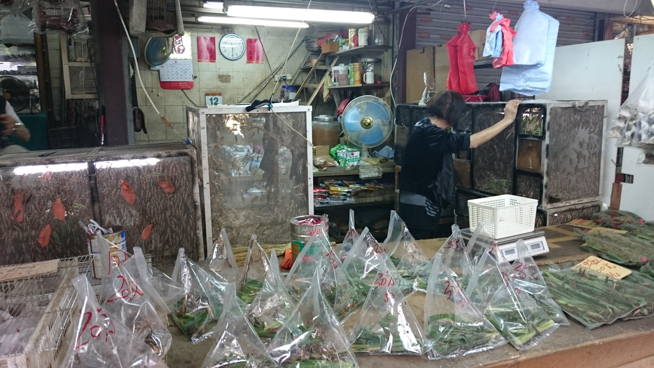 Semana Santa en Hong Kong (2017) - Blogs de China - 12 ABR Mong Kok & Nathan Road (5)