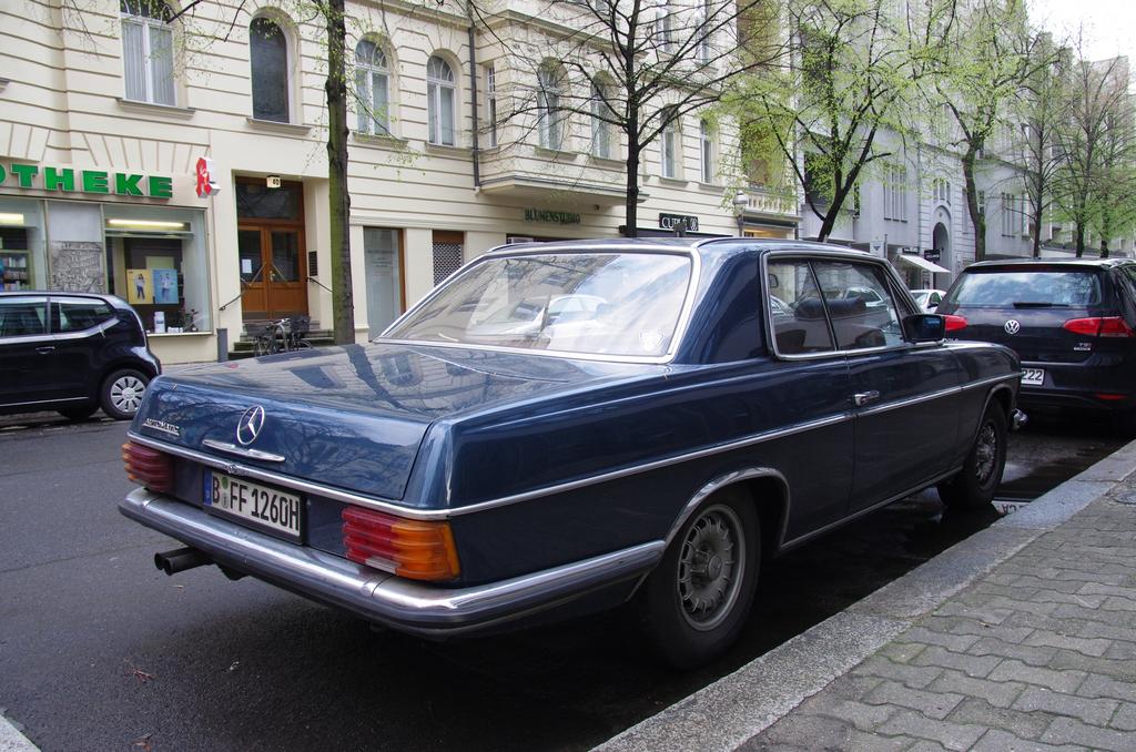 IMGP6901.jpg