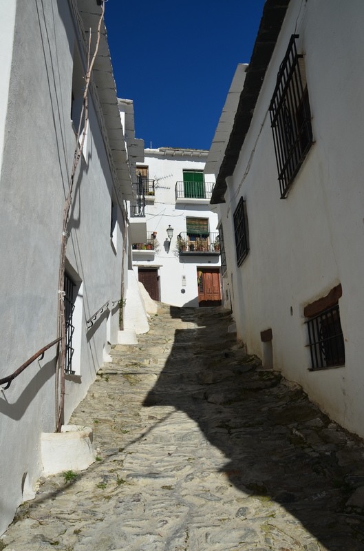 CAPILEIRA-10-3-2017-GRANADA - Los pueblos más bonitos de España-2010/2023 (18)