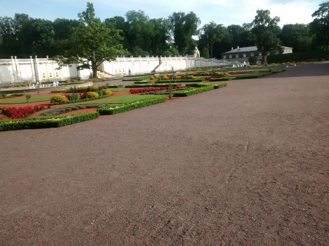 Riga-Tallin-San Petersburgo-Moscu-Riga en julio/agosto 2016 - Blogs de Rusia y Ex URSS - Tallin 29.07.2016 (13)