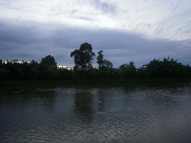 Vietnam y Angkor: 25 días a nuestro aire (Actualizado con fotos!!!) - Blogs de Vietnam - Etapa 6: Delta del Mekong (13)