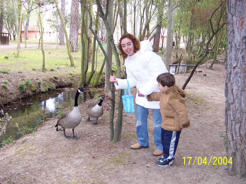 VALWO Y PARQUE TEMATICO DEL MUDEJAR-17-4-2004-VALLADOLID - Paseando por España-1991/2016 (5)