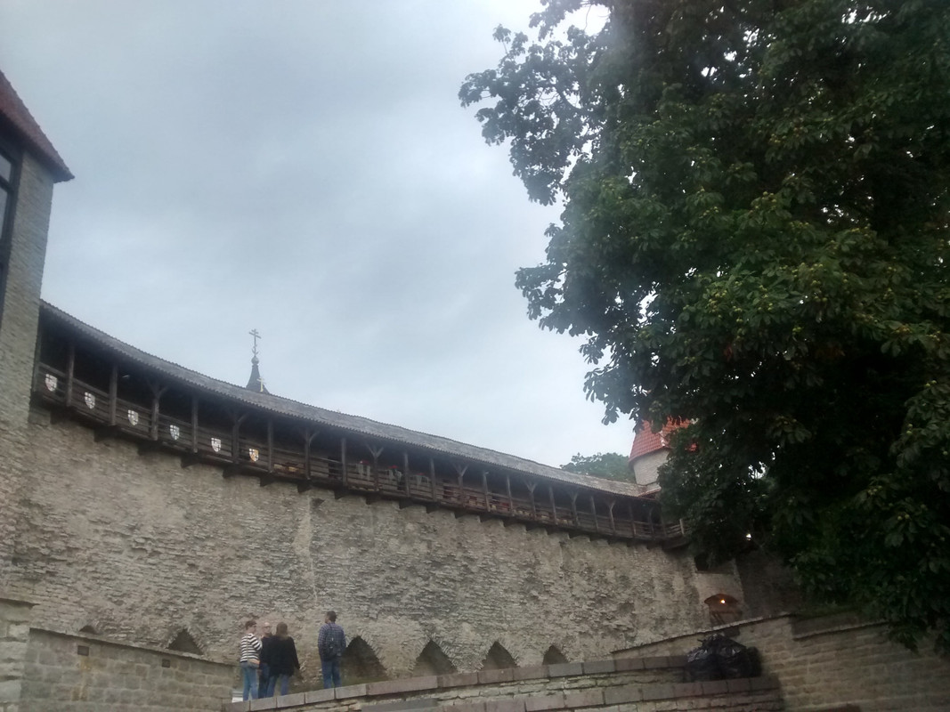 Riga-Tallin-San Petersburgo-Moscu-Riga en julio/agosto 2016 - Blogs de Rusia y Ex URSS - Tallin 28.07.2016 (11)
