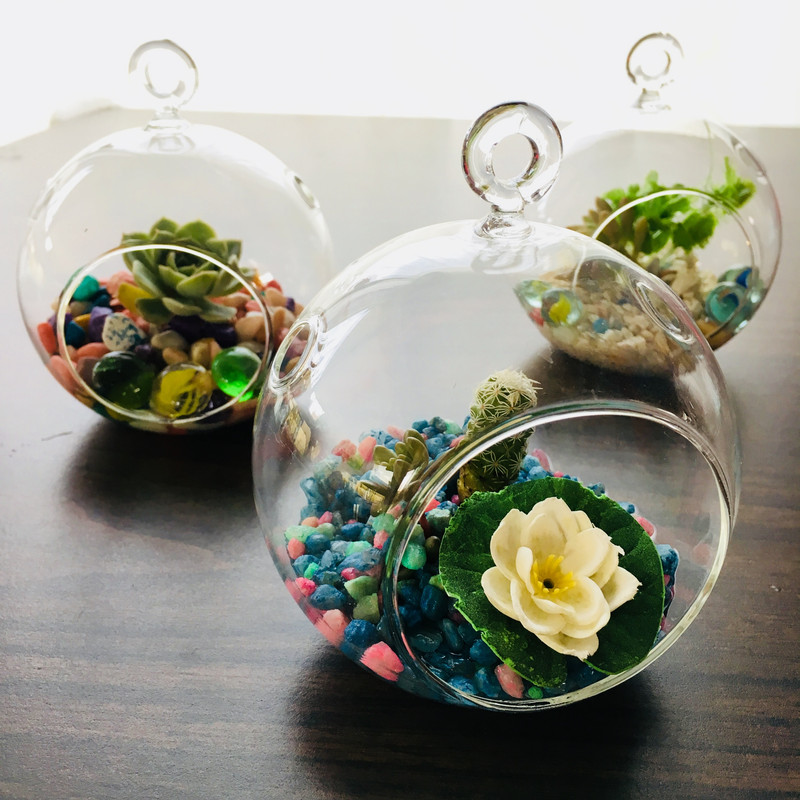 DIY Simple Succulent Terrarium Tutorial