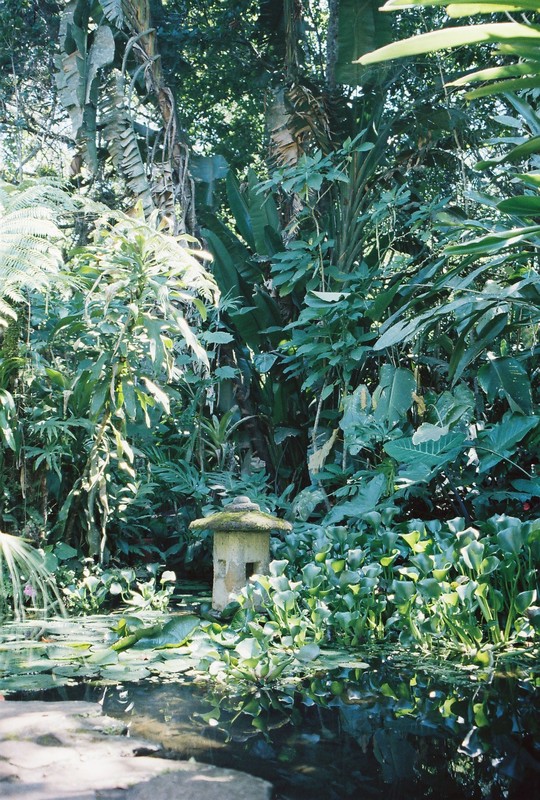 COSTA RICA Y SUS PUEBLOS-1996 - Blogs de Costa Rica - CARTAGO (14)