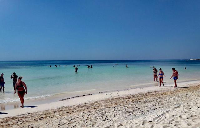 Archivo 09/10/2018 - Algas en las playas de Riviera Maya (México) - Foro Riviera Maya y Caribe Mexicano