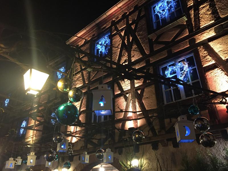 COLMAR-RIVEAUBILLÉ-RUST - LA MAGIA DE LA NAVIDAD EN ALEMANIA Y ALSACIA (18)