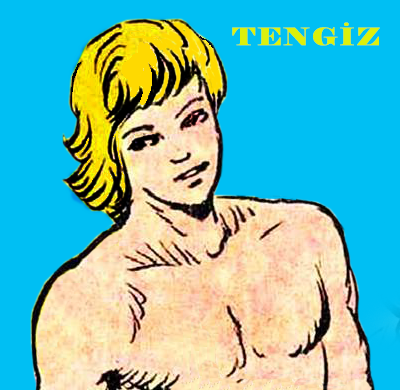 TENG_Z1.png