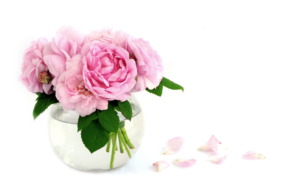 A simple bubble bowl vase can made a world of different to your creative floral arrangements