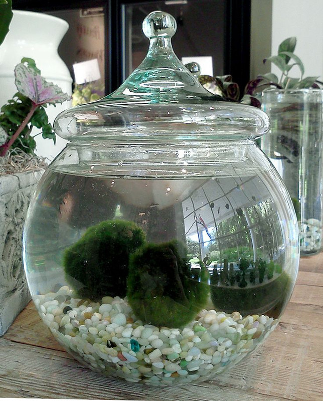 3 Ways to Decorate with Clear Vases and Apothecary Jars - MHM Professional  Staging