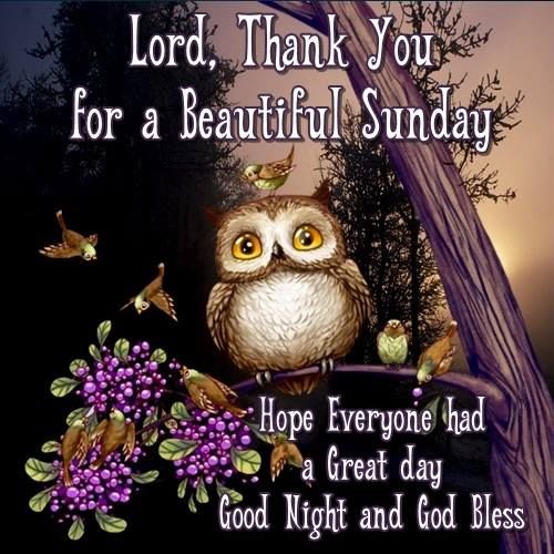 232146_Lord_Thank_You_For_A_Beautiful_Sunday_Goo.jpg
