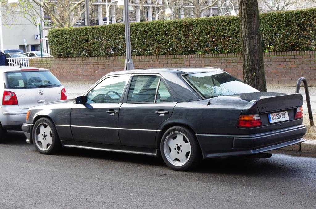 IMGP6930.jpg