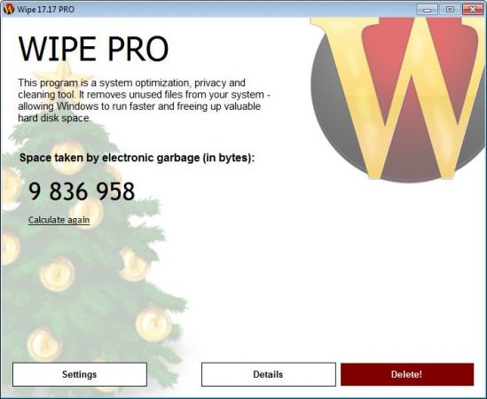 Wipe Professional 2023.07 instal the new version for ios