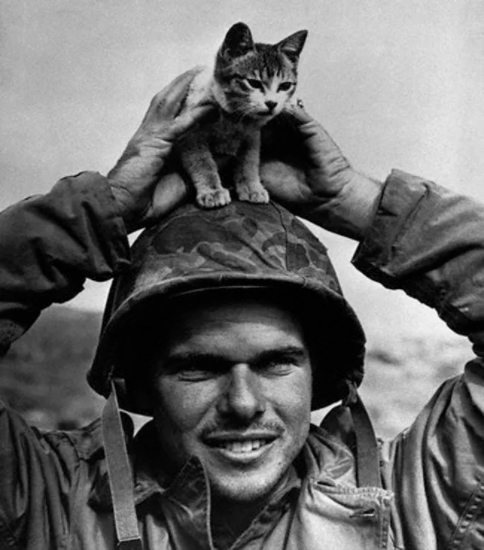 4_US_Marine_with_a_Kitten.png