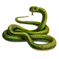 Huge_item_grass_snake_01